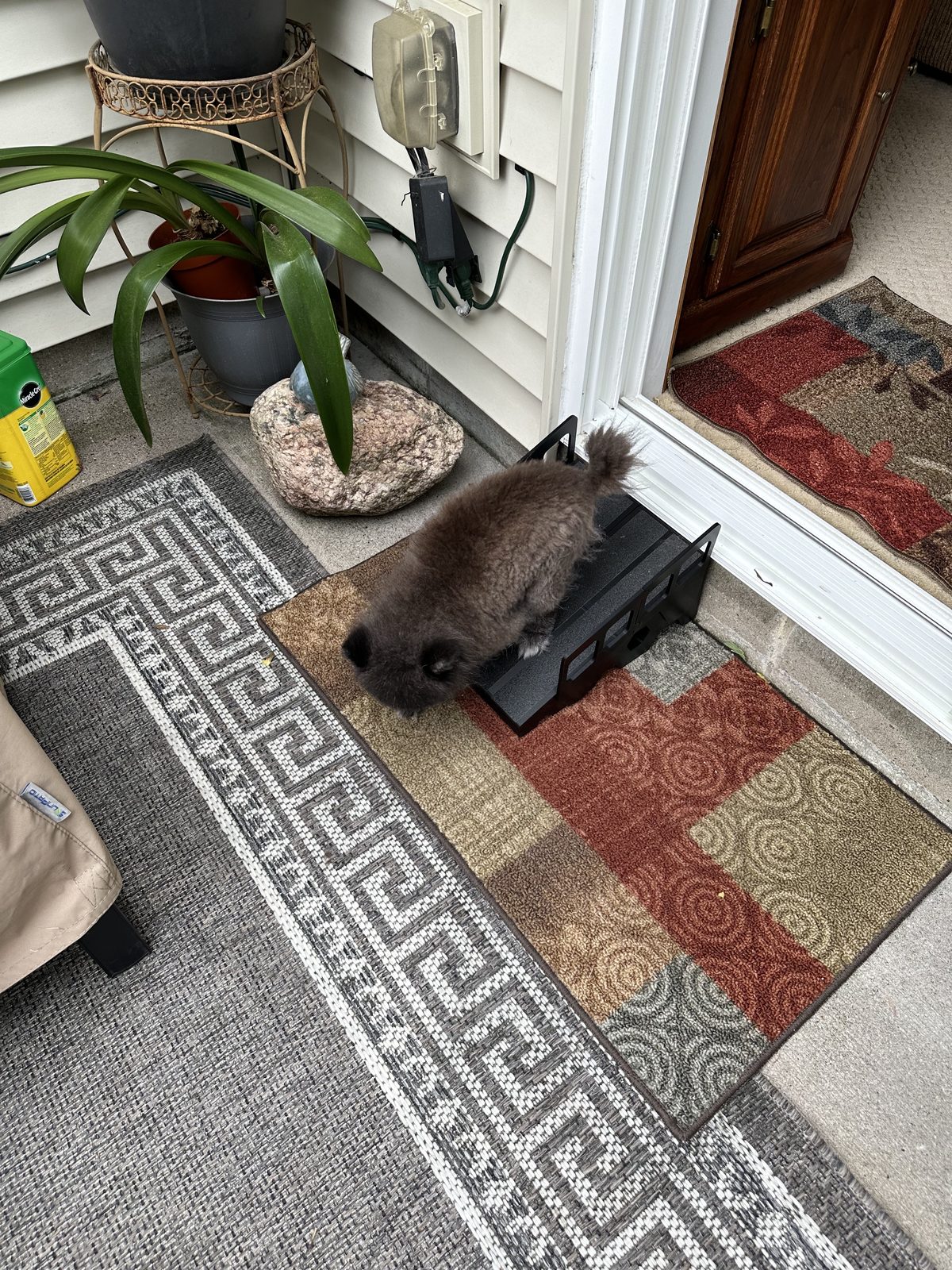 #218 Small Dog Ramp — vue 9