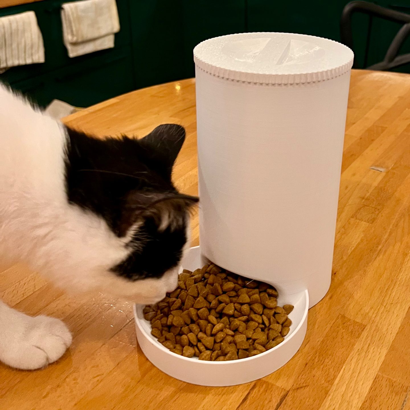 #223 Eco-Small Portion Pet Feeder — vue 4