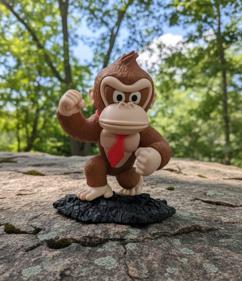 #230 D Kong — vue 3