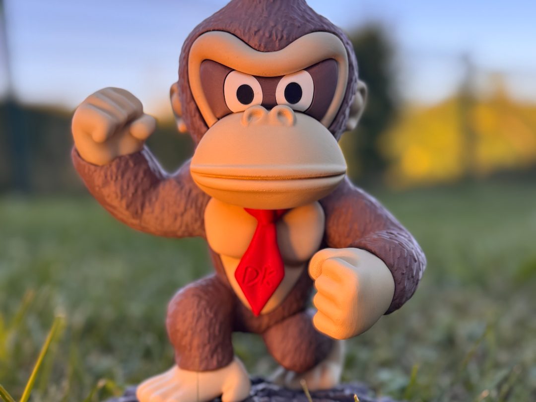 #230 D Kong — vue 5