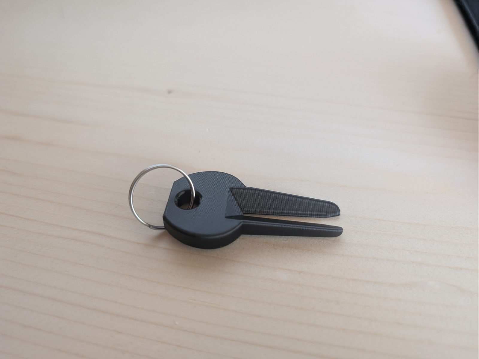 #262 Tick Remover - Compact Keychain Tool — vue 1