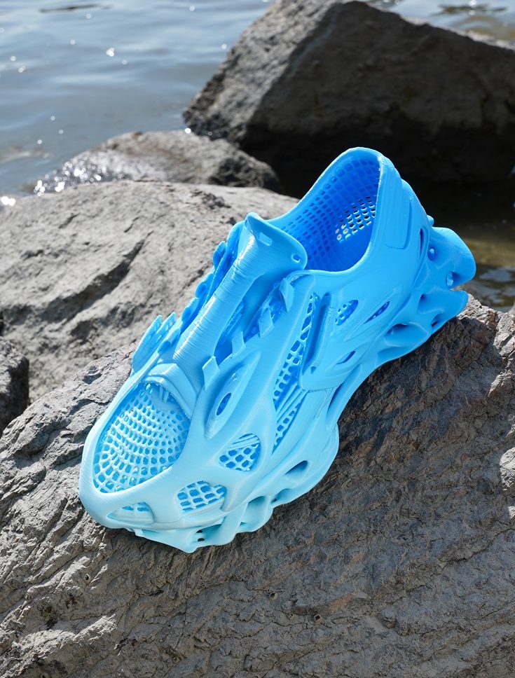#284 Whaleberry - a 3D printed thick-soled casual shoe — vue 1