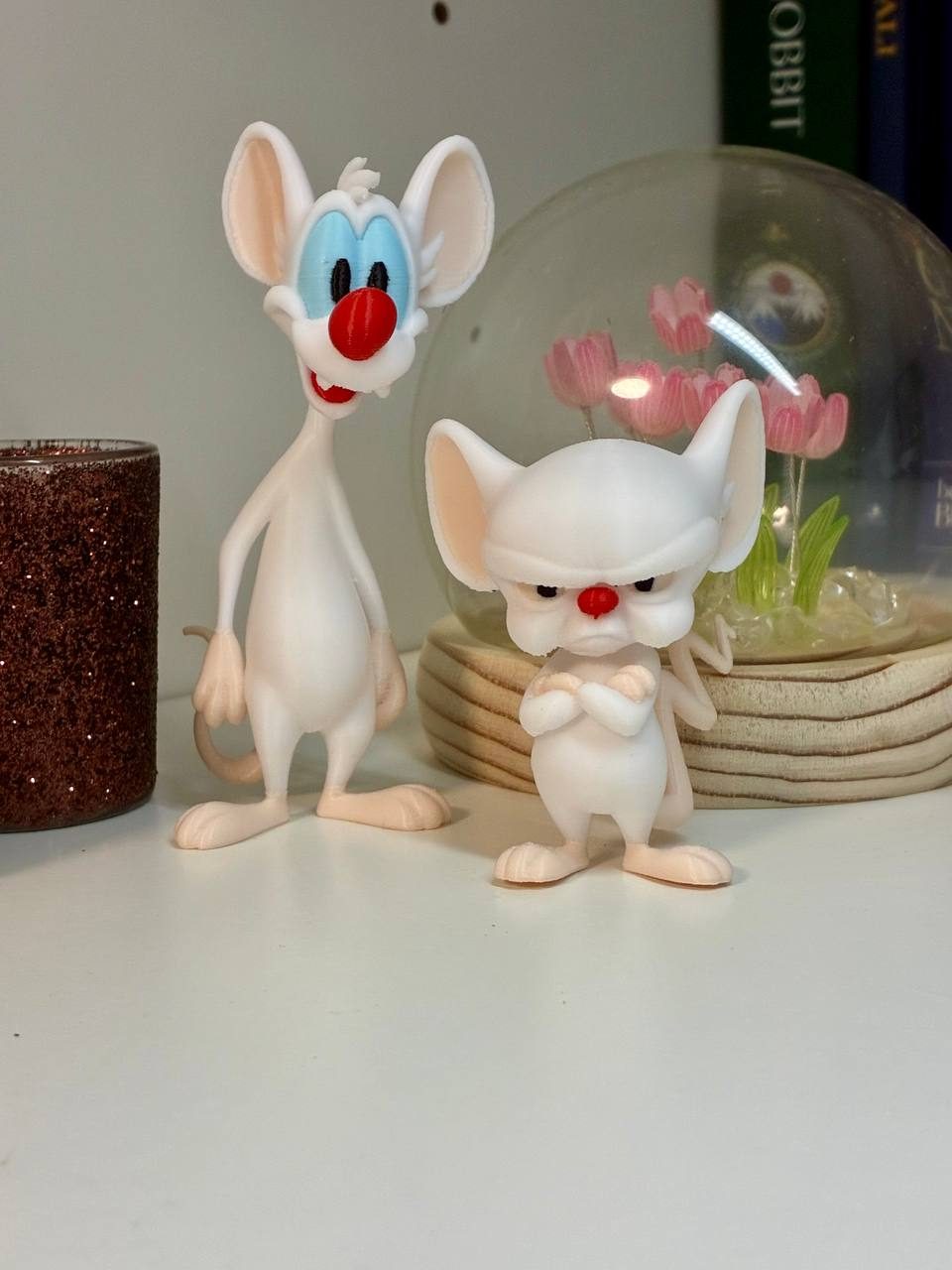 #297 Pinky and the Brain — vue 7