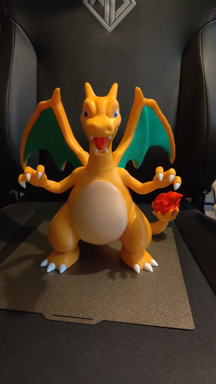 #298 Charizard — vue 8