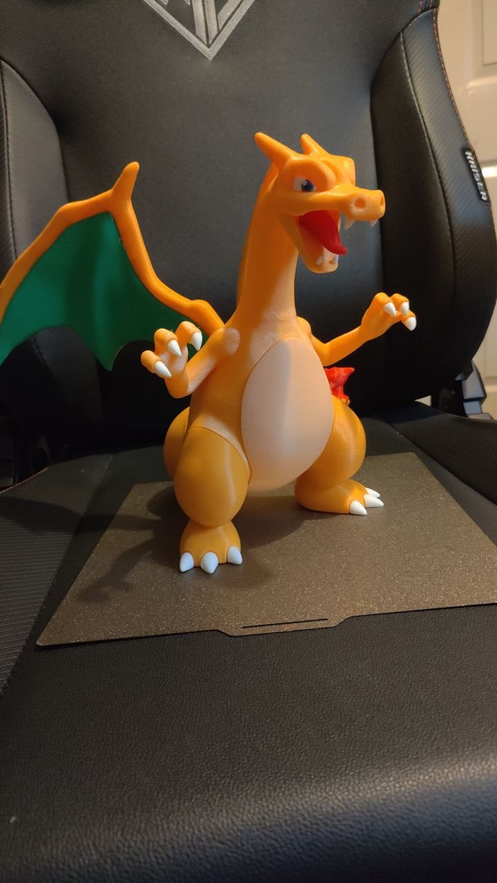 #298 Charizard — vue 9