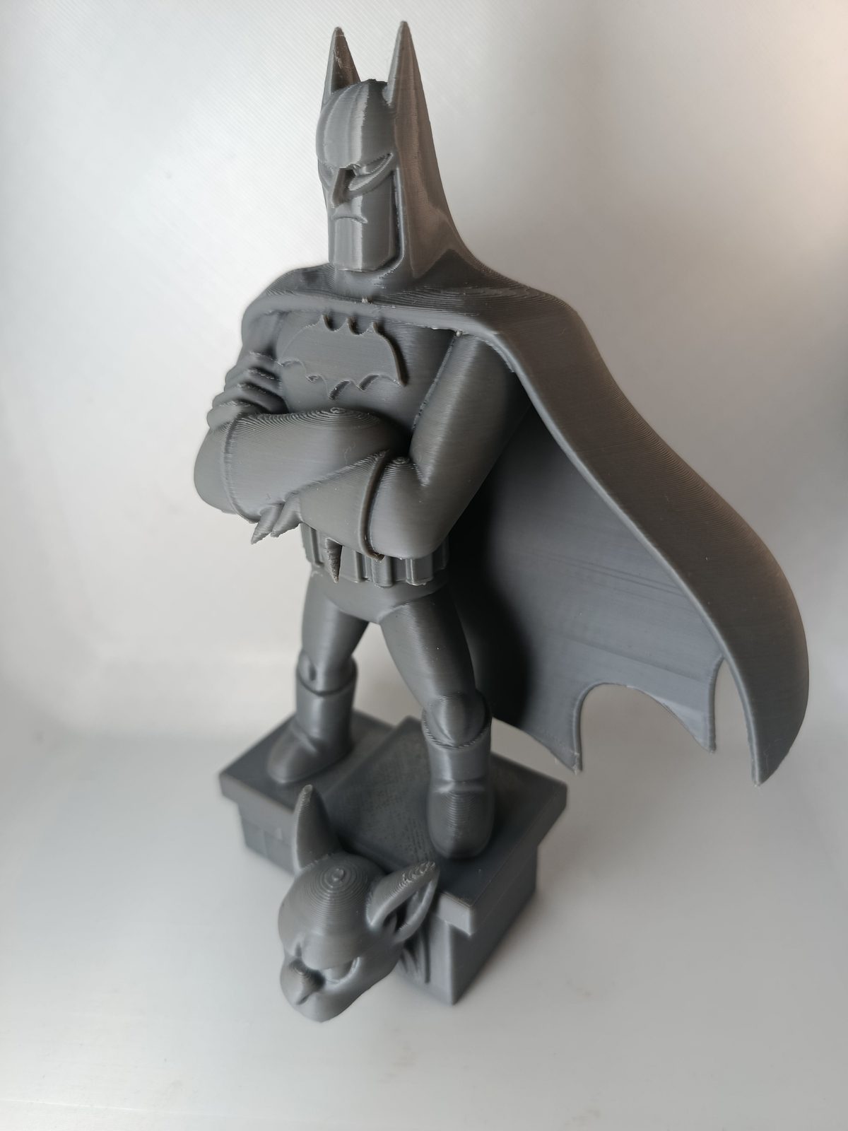 #303 Batman DC version Animated Series — vue 11