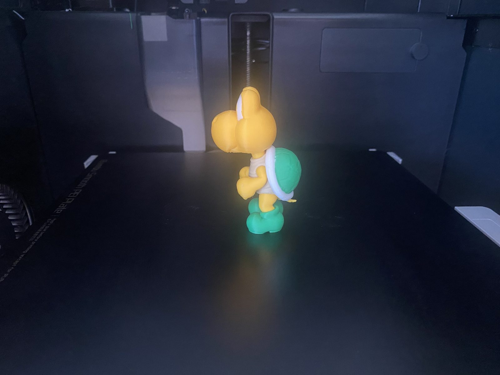 #314 Koopa Troopa — vue 1