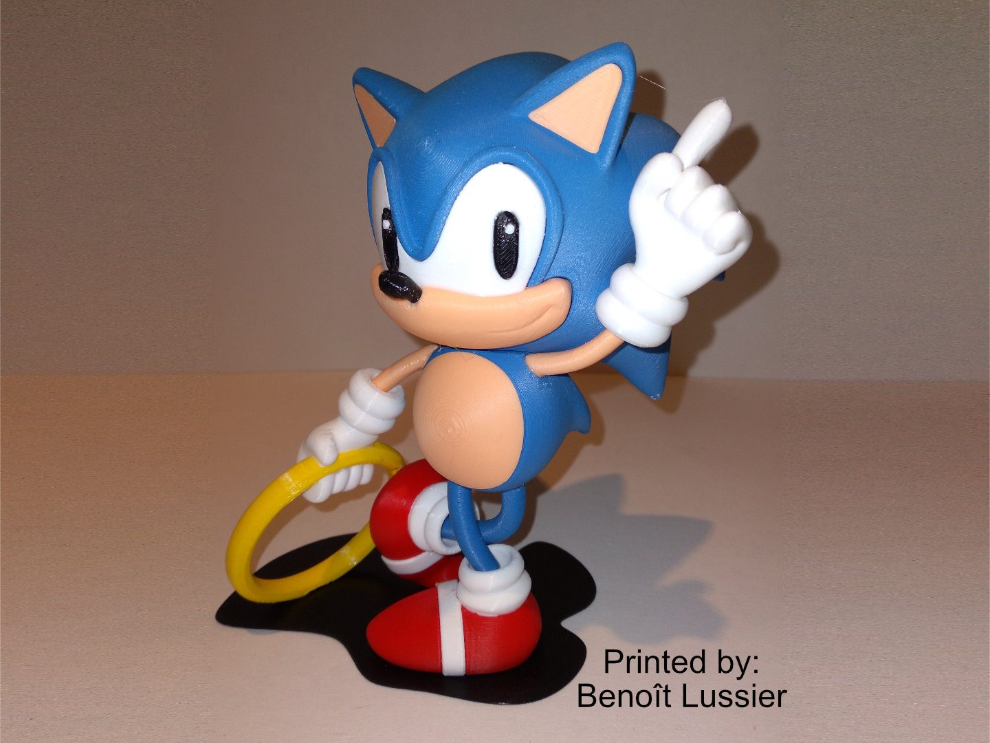 #356 Sonic - Classic — vue 11