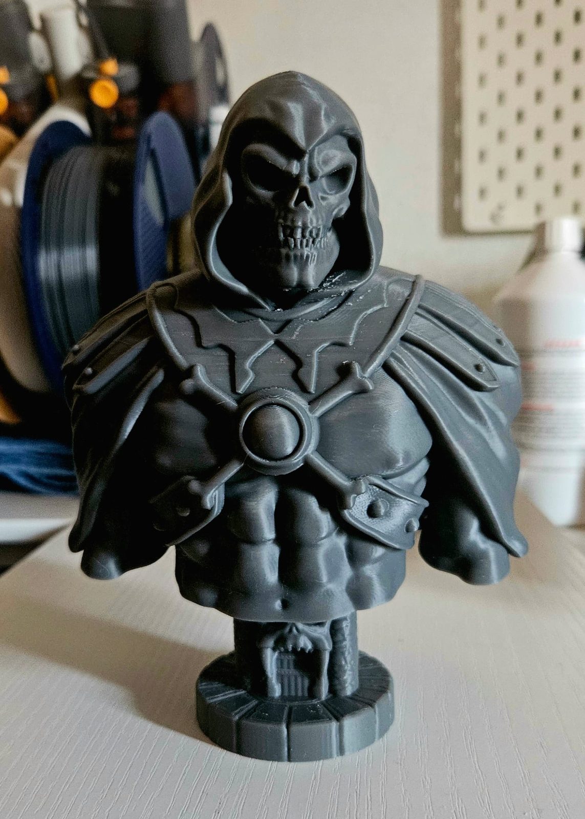 #360 Skeletor Bust — vue 1