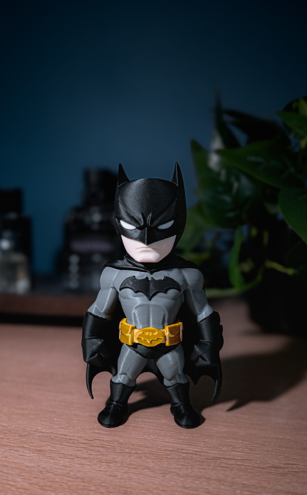 #393 Batman — vue 5