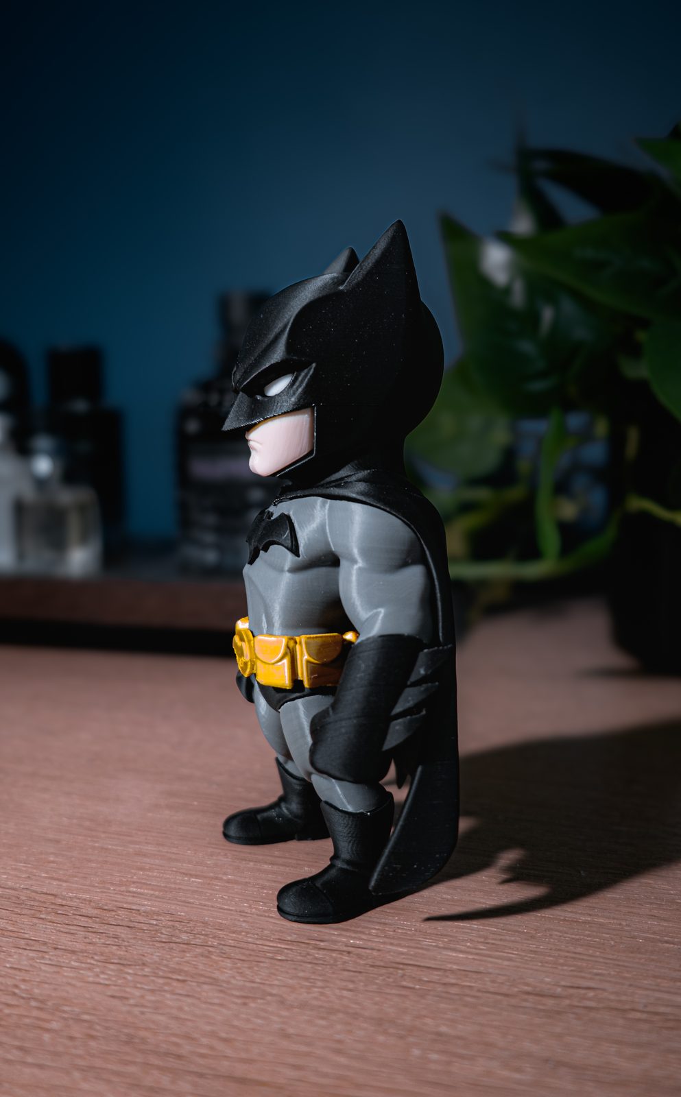 #393 Batman — vue 6
