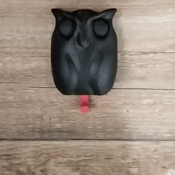 #394 Magic Owl - Wall key holder — vue 1