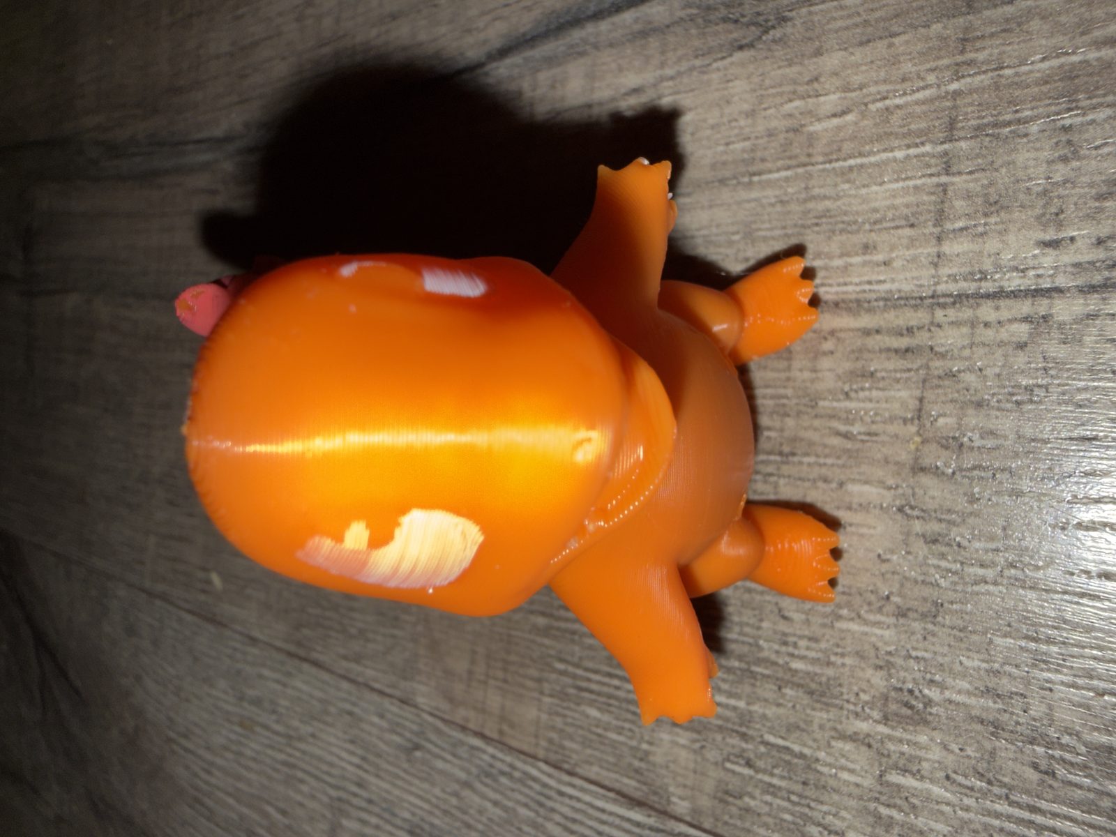 #428 Charmander — vue 7