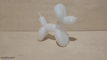 #521 Balloon Dog — vue 2