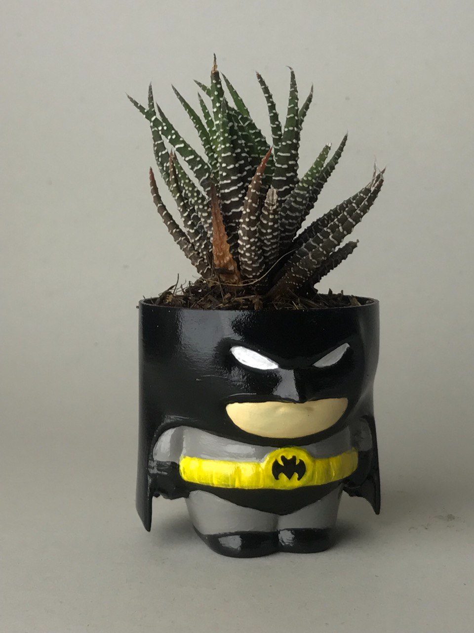 #530 Batman Planter — vue 4