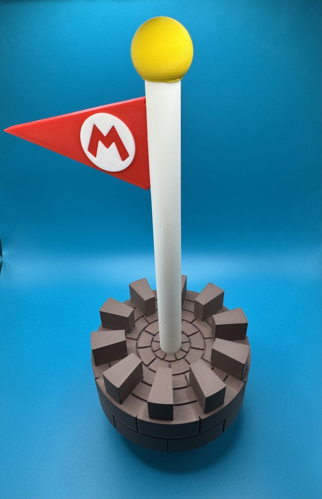 #533 Super Mario Goal Flag — vue 5