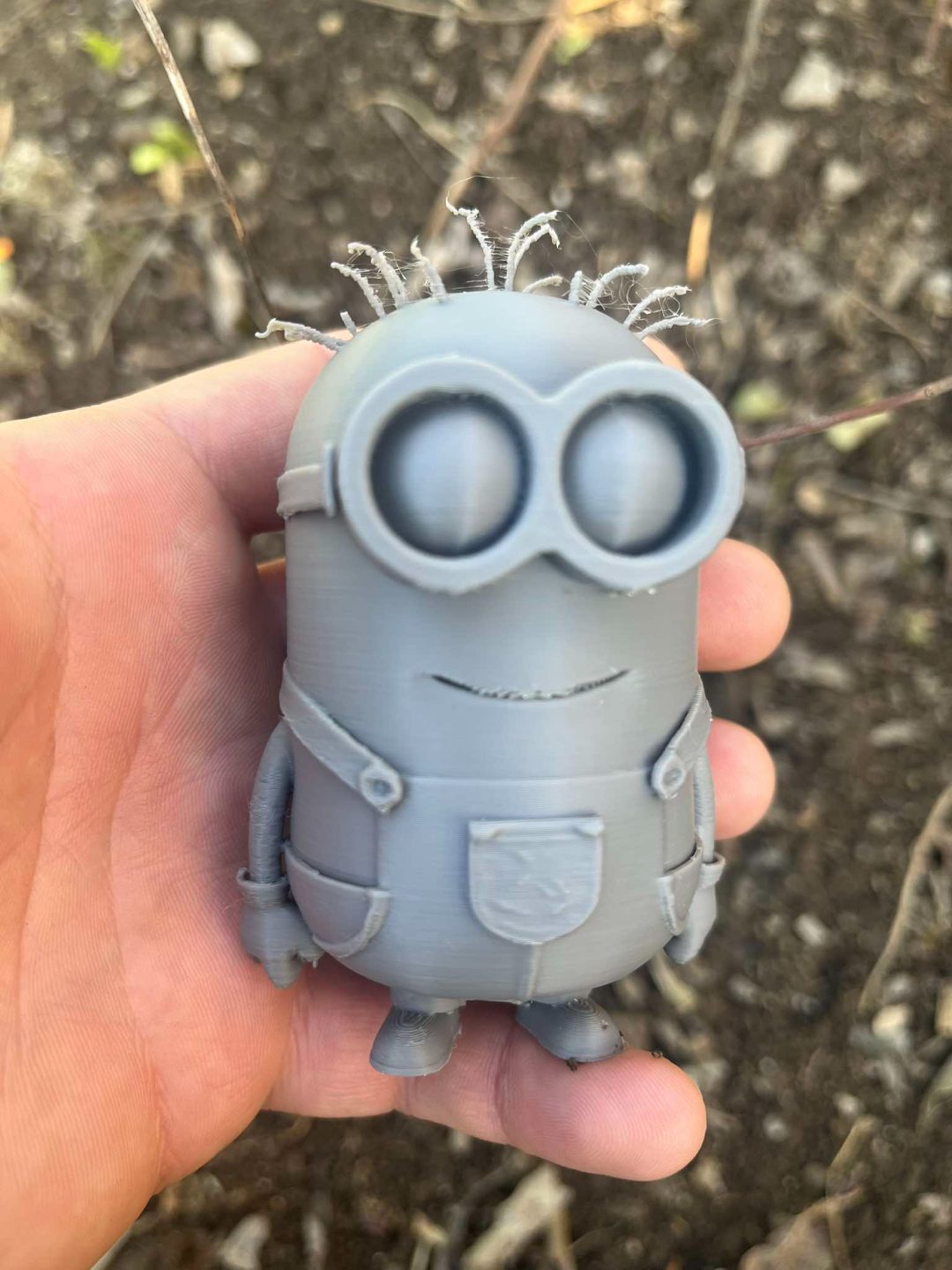 #619 The Minions — vue 1