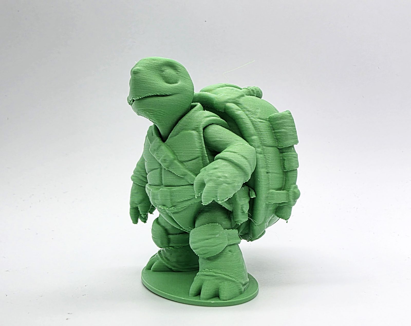 #674 Teenage Turtle Fighter — vue 1