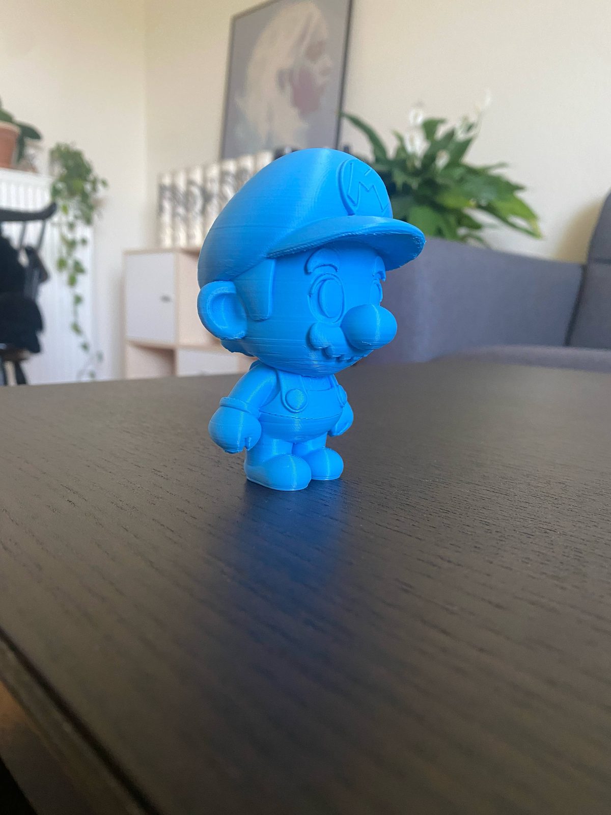 #723 Cute tiny Super Mario chibi style — vue 4