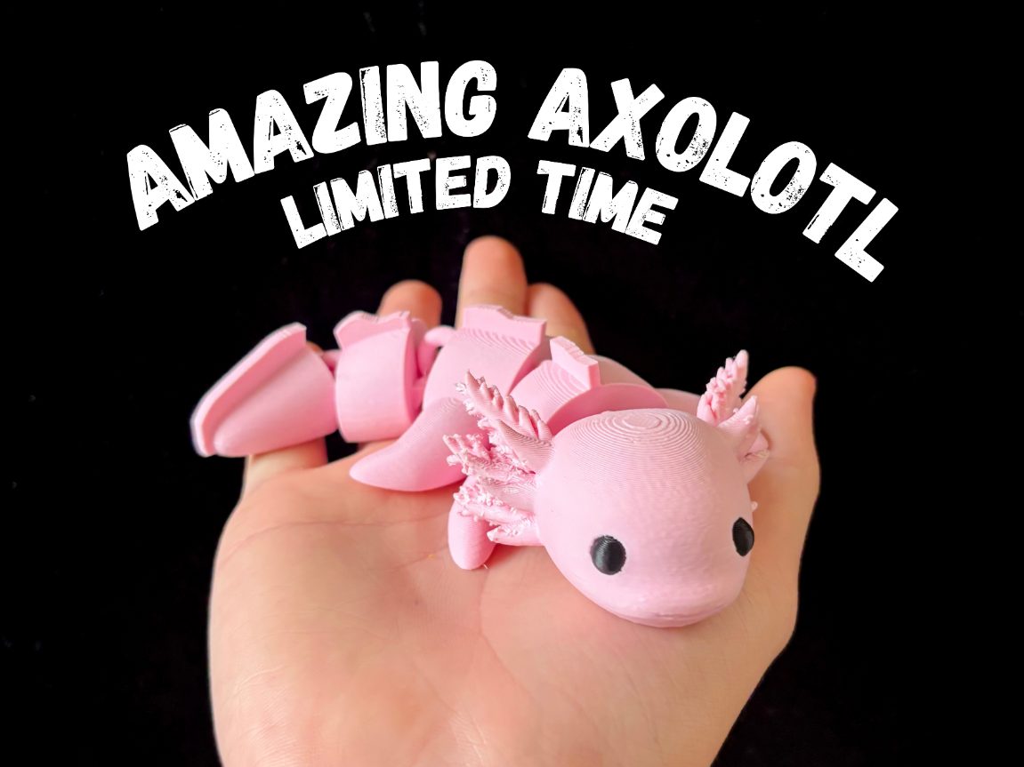 #730 Amazing Axolotl - Articulated Fidget Axolotl — vue 4