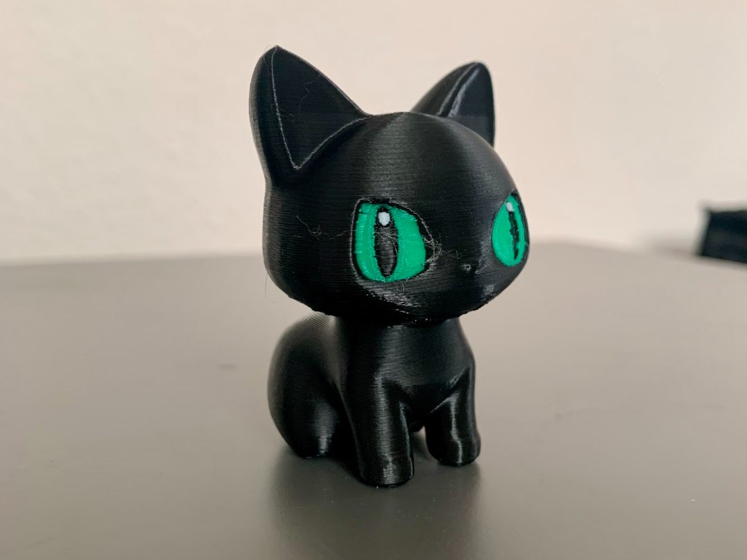 #732 Black Cat — vue 3