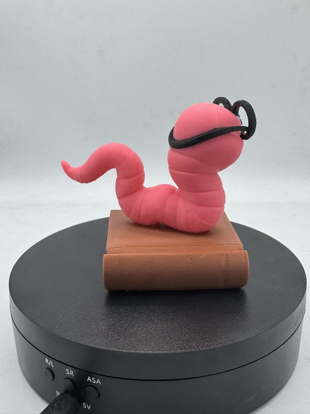 #752 Chubby Bookworm — vue 11