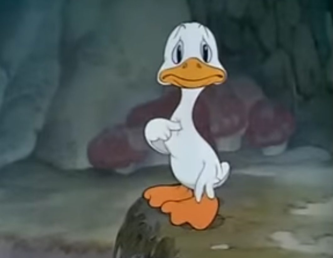 #798 The Ugly Duckling — vue 4