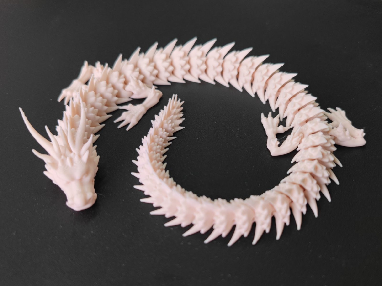 A little white dragon — vue 1