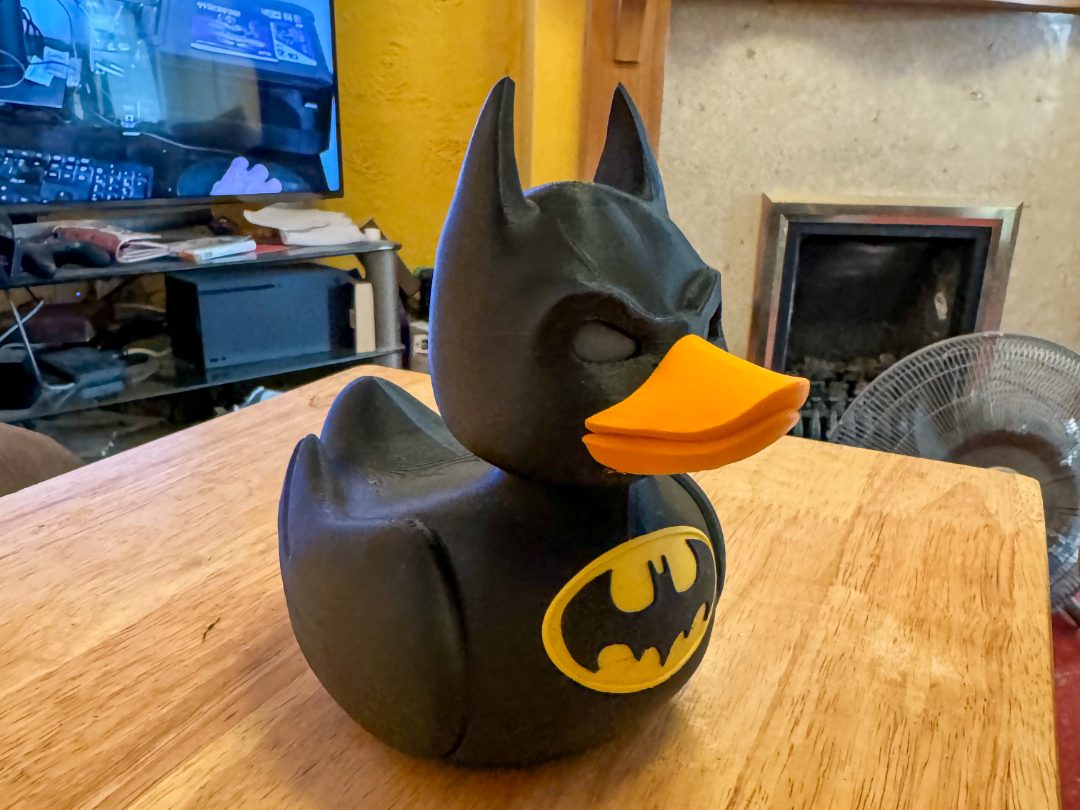 Bat Duck — vue 1