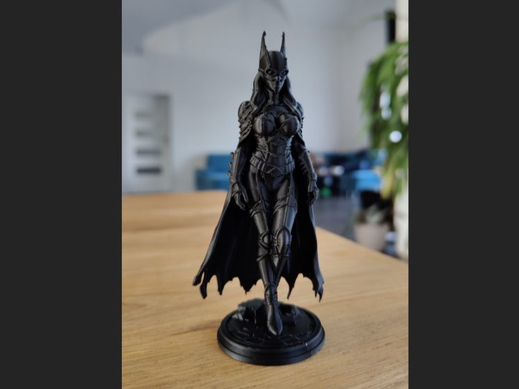 Batgirl – Gotham Guardian Edition — vue 1