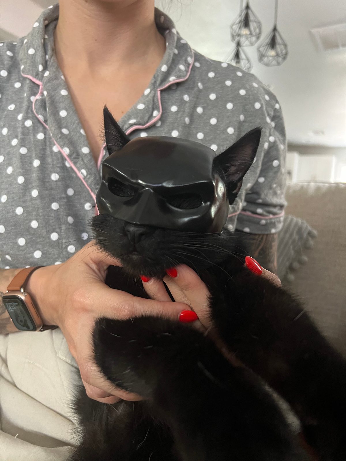 Batman cat mask — vue 4