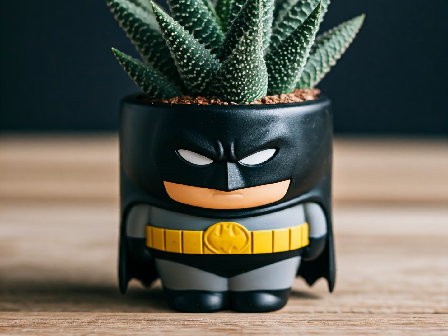 Batman Planter — vue 1