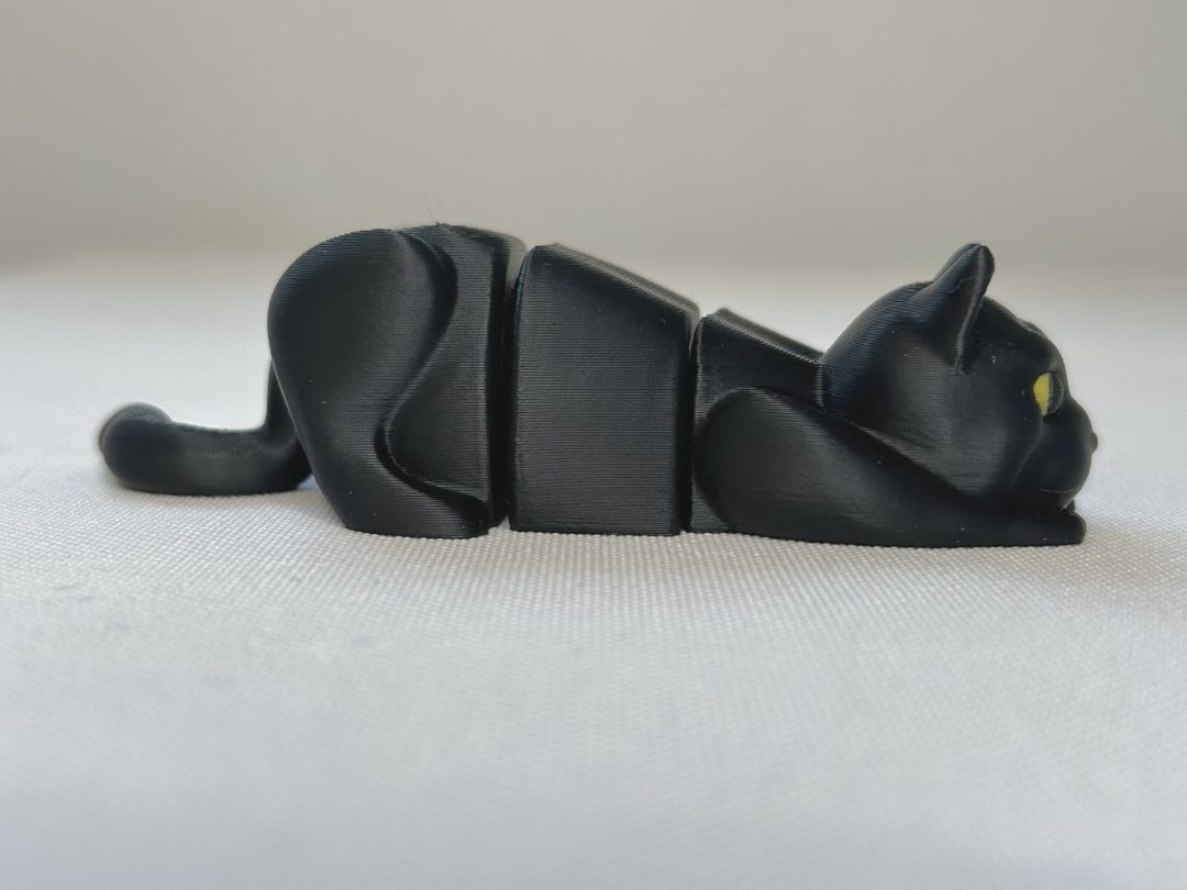 Black Cat Ready to Pounce fidget — vue 1