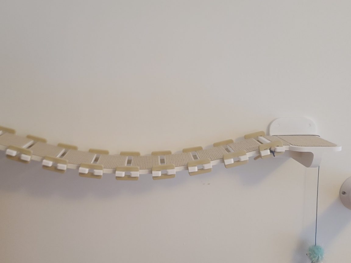 Cat Bridge — vue 1