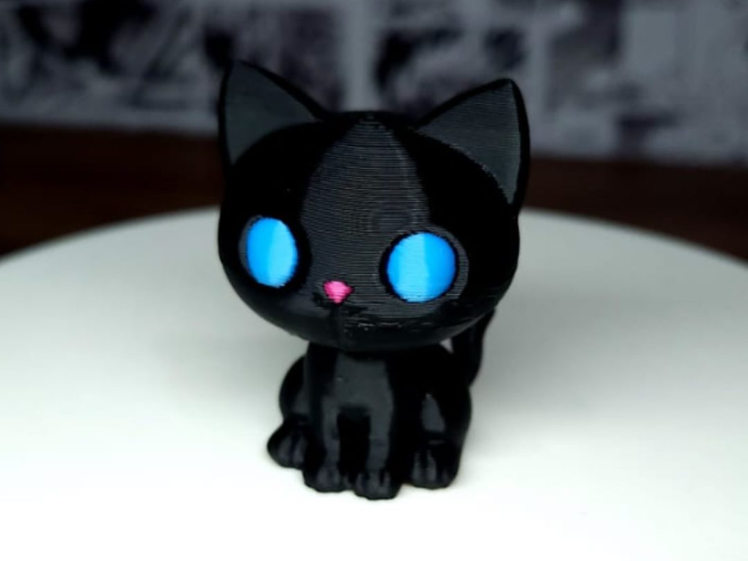 cute cat — vue 1