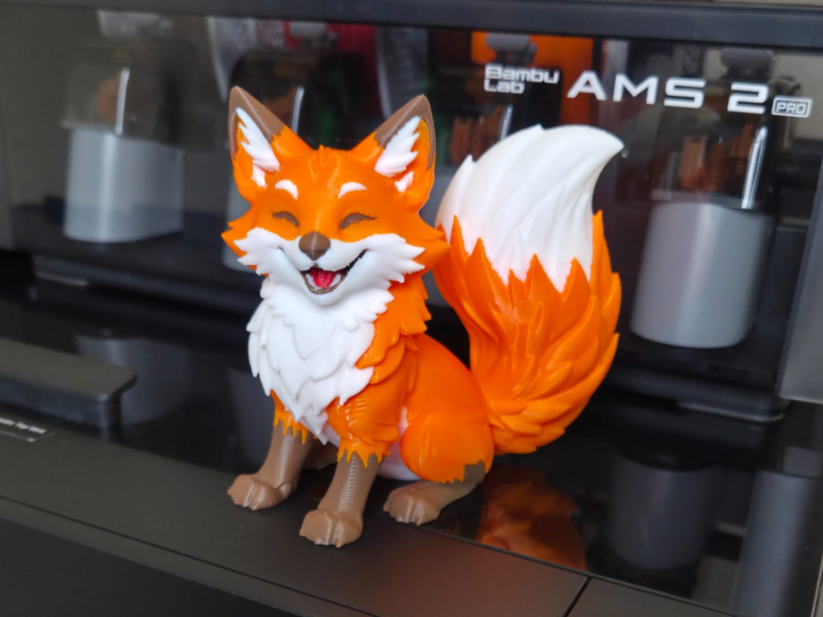 Cute Happy Fox (Multi Color) — vue 1