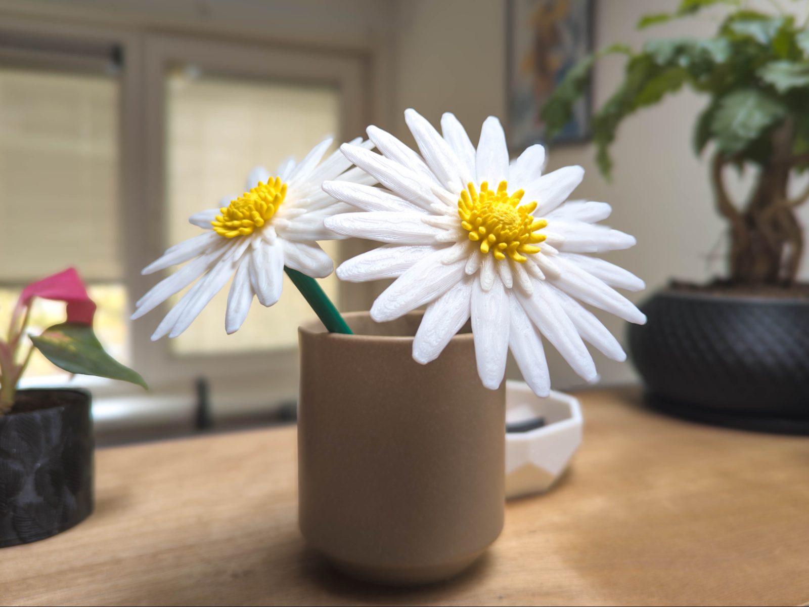 Daisies | Modular Flowers 01 — vue 1