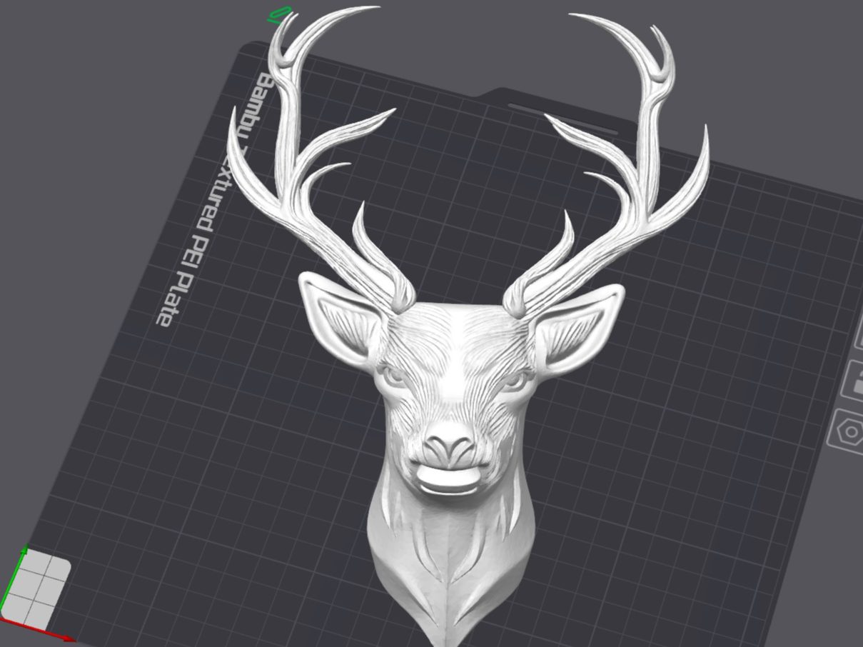 Deer — vue 1