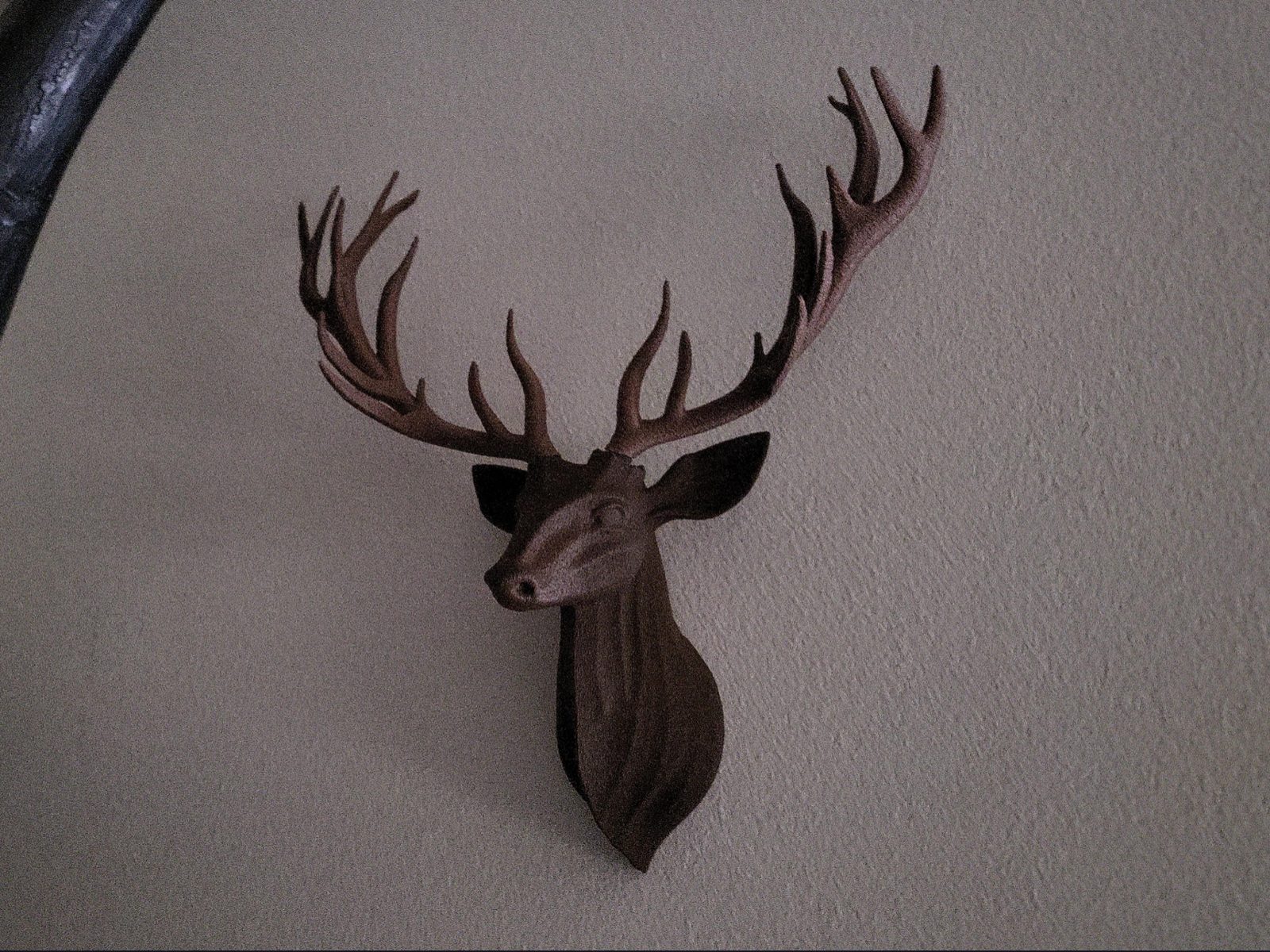 Deer of Crowned Stillness — vue 1