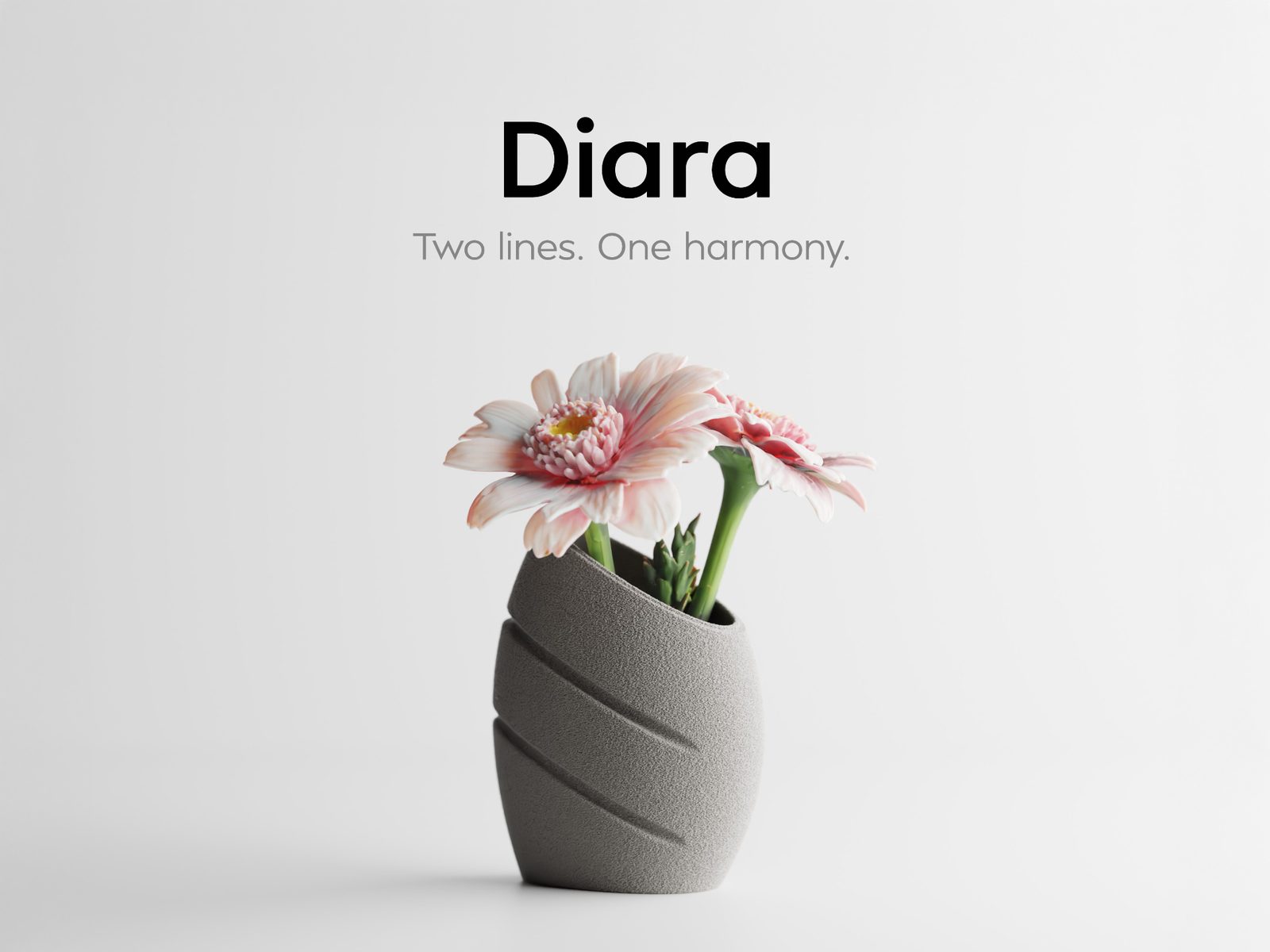 Diara – Two lines. One harmony — vue 1