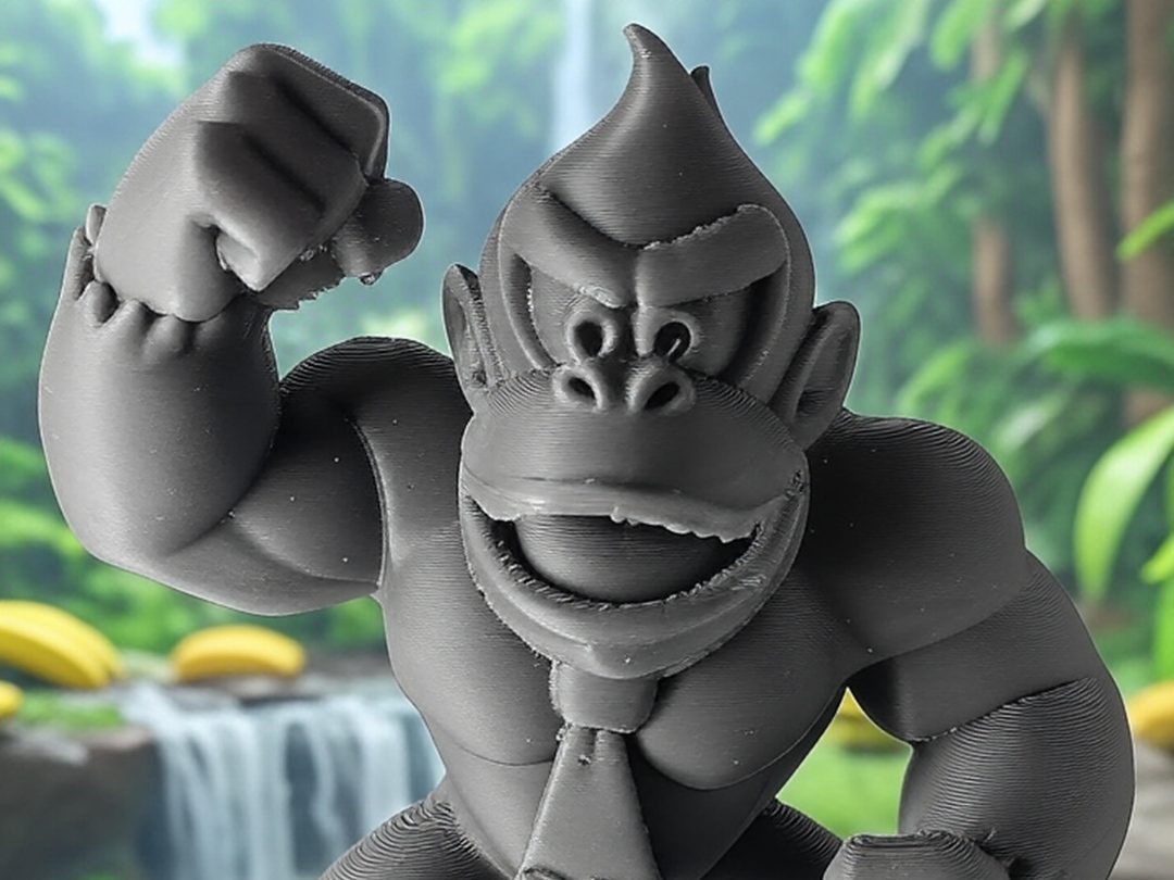 Donkey Kong poing leve Donkey Kong Country — vue 1