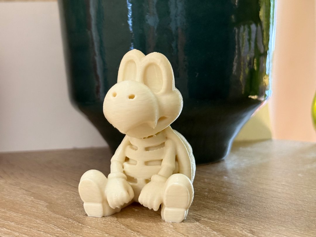 Dry Bones (from Super Mario) — vue 1