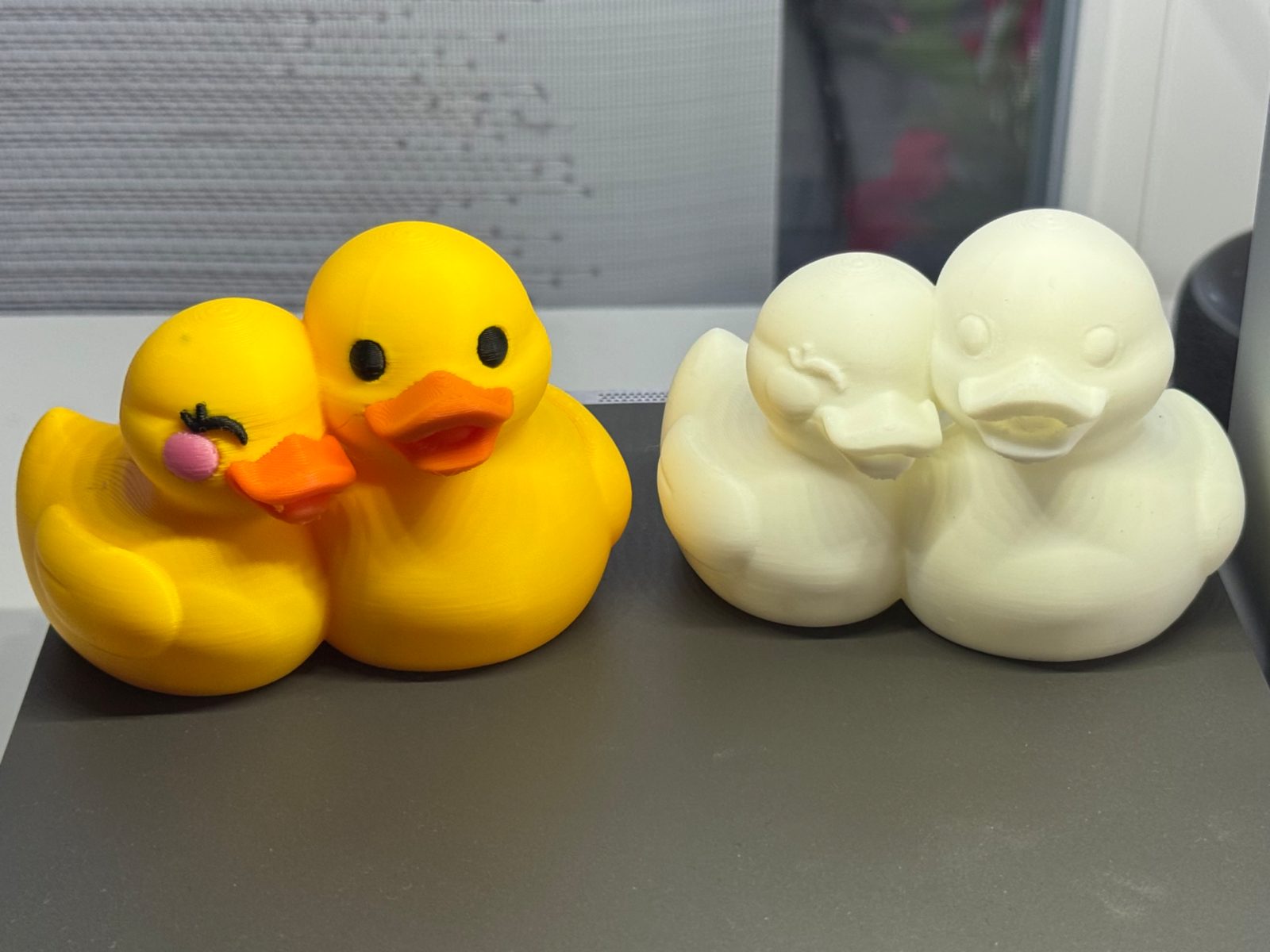 Ducks cute couple — vue 1