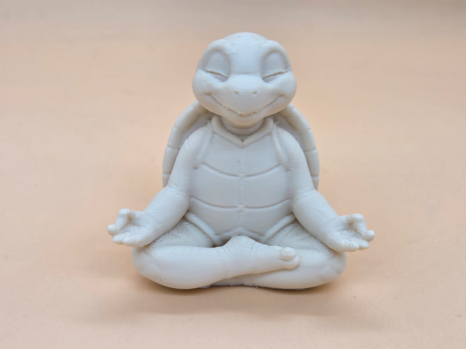 Edgar macht Yoga – Teil 1: Innere Ruhe mit Panzer — vue 1