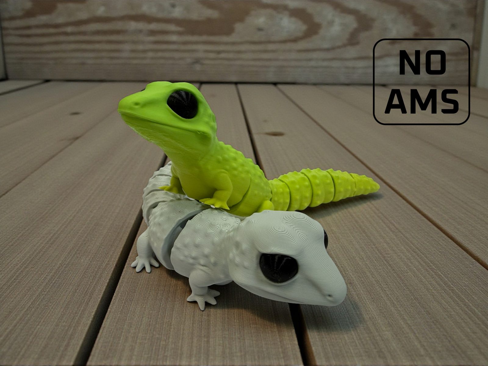 Flexi Gecko — vue 1