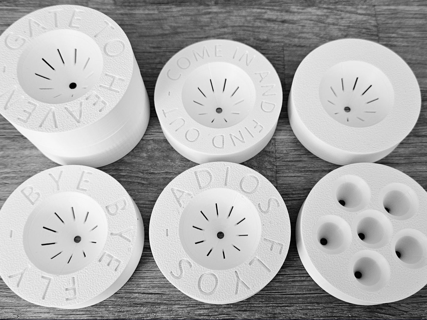 Fruit fly trap V2 — vue 1