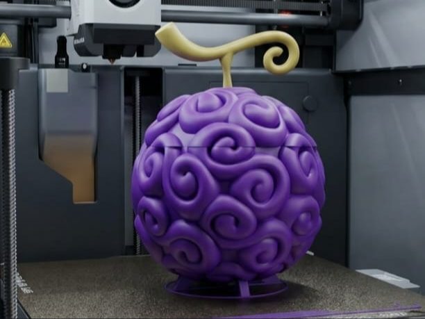 Frutto del Diavolo Gomu Gomu — vue 1