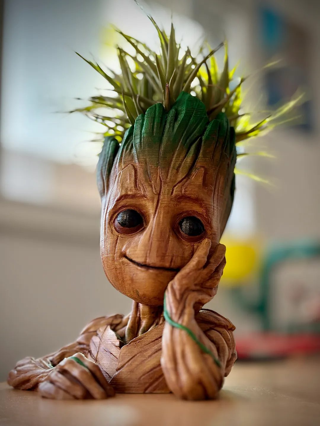 Groot Planter — vue 1