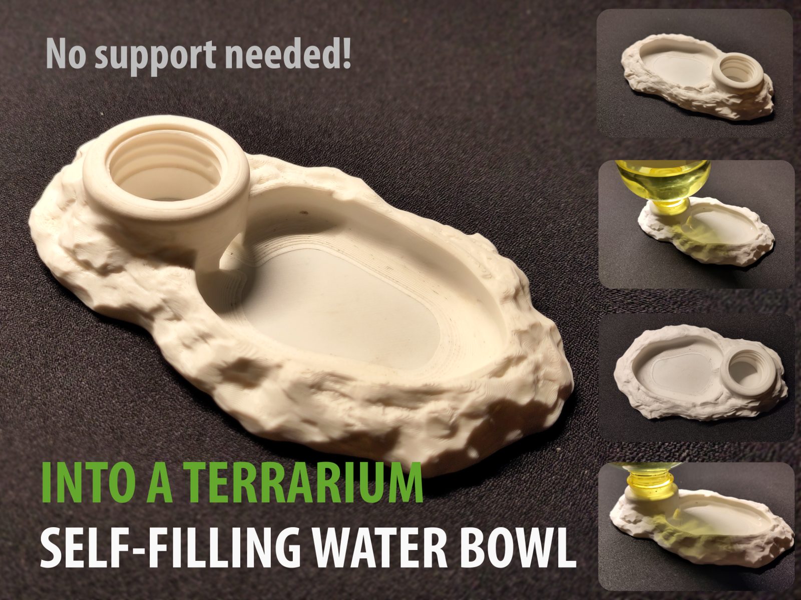 Into a terrarium, self filling water rocky bowl — vue 1
