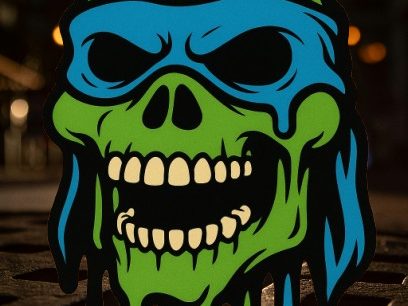 Leonardo TMNT Skull Wallart — vue 1